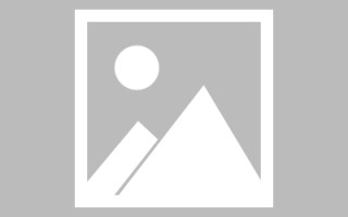 乐山网页设计师周记（网页设计周记26篇300字）